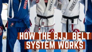 belt system